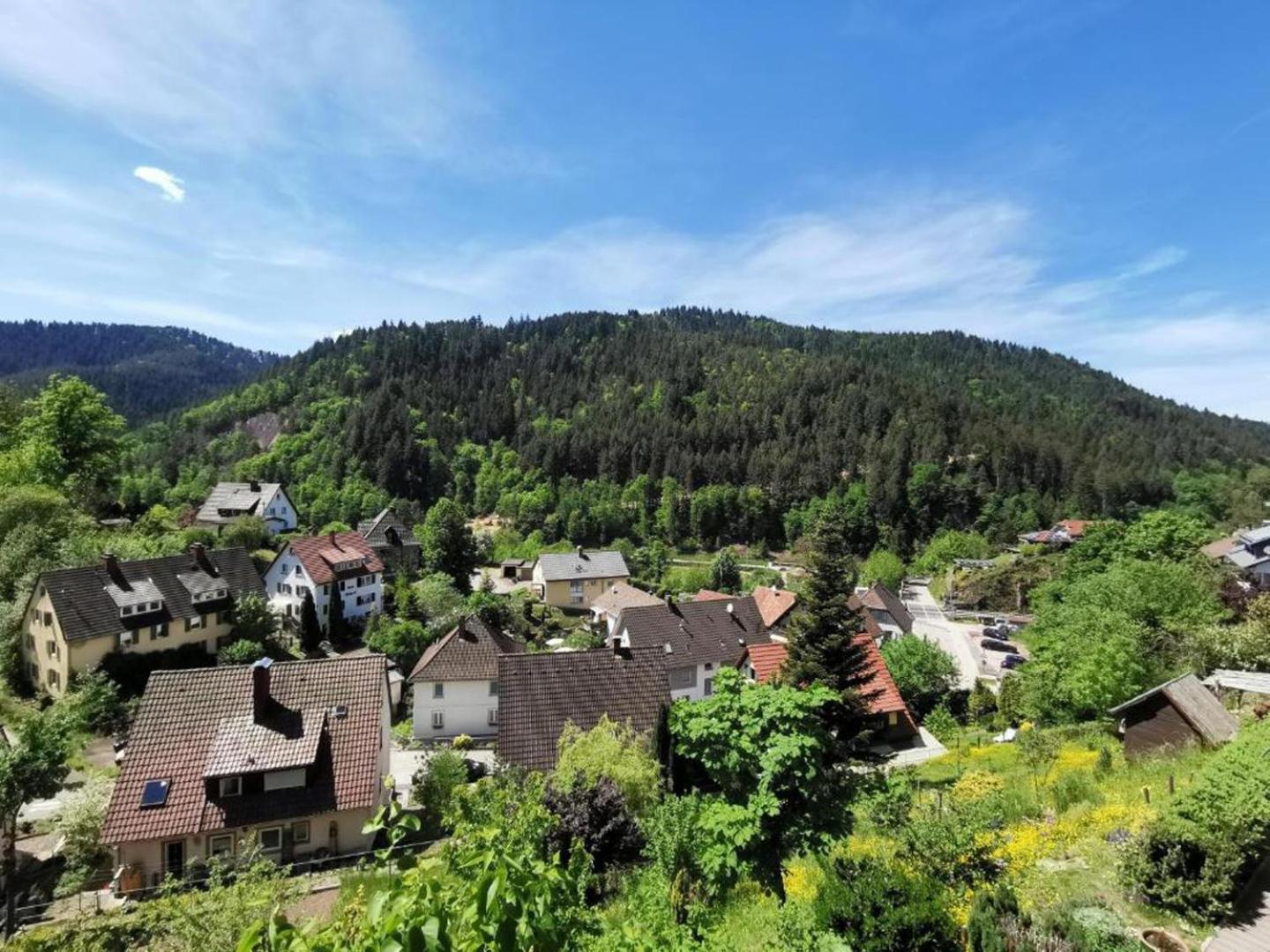 Ferienwohnung Am Rubersbach Hornberg Dış mekan fotoğraf