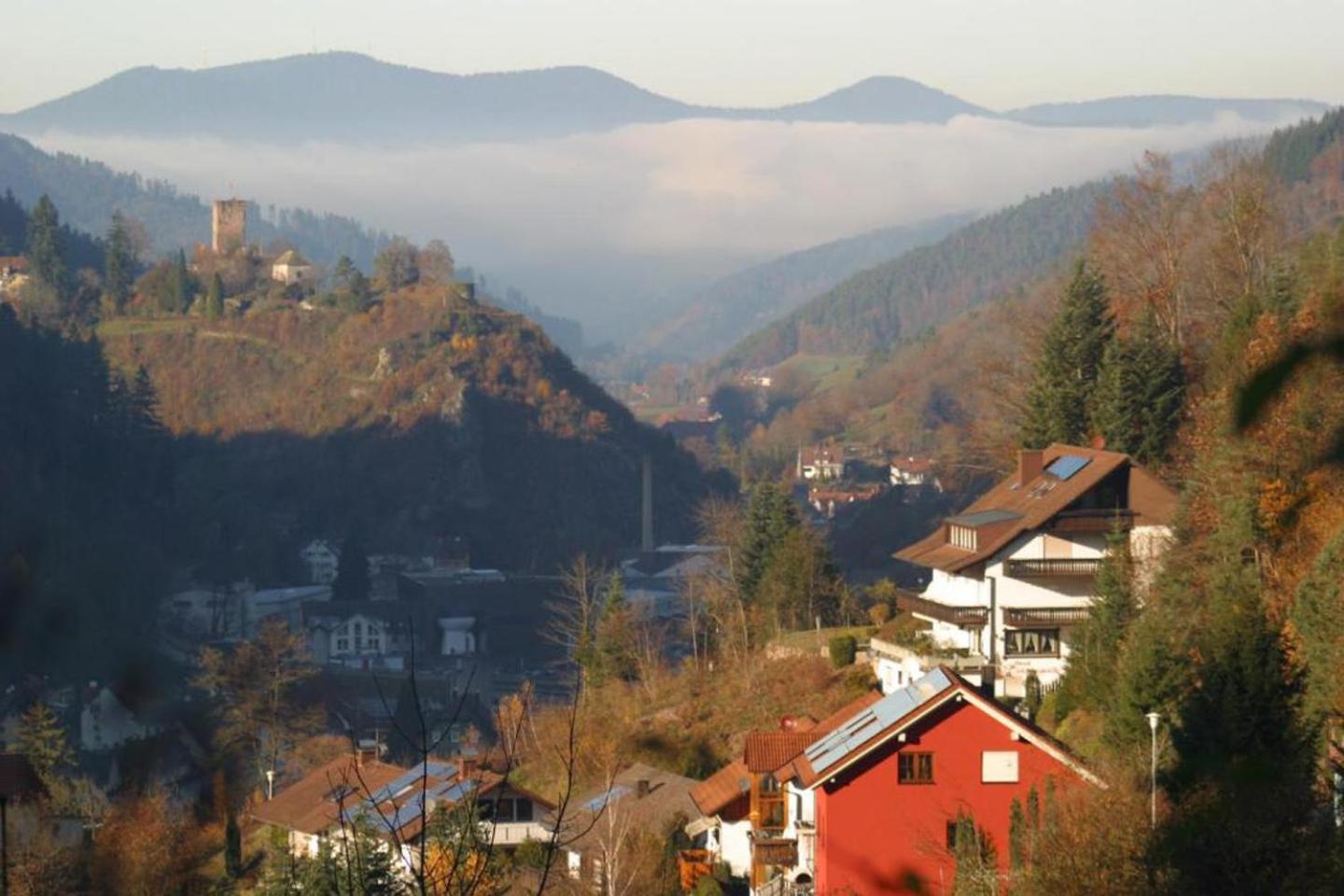 Ferienwohnung Am Rubersbach Hornberg Dış mekan fotoğraf